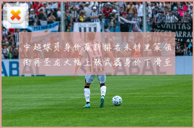 中超球员身价最新排名米特里策领衔蒋圣龙大幅上涨武磊身价下滑至50万
