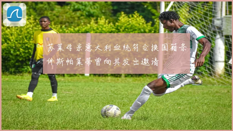 苏莱母亲意大利血统符合换国籍条件斯帕莱蒂曾向其发出邀请