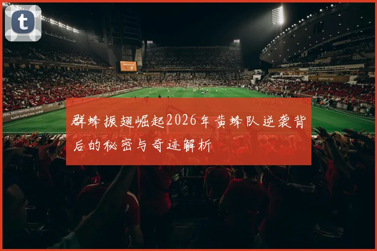 群蜂振翅崛起2026年黄蜂队逆袭背后的秘密与奇迹解析